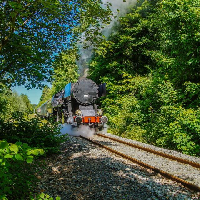 Zug Dampflokomotive CFTVA © P.Hudelle, Balades en Audomarois