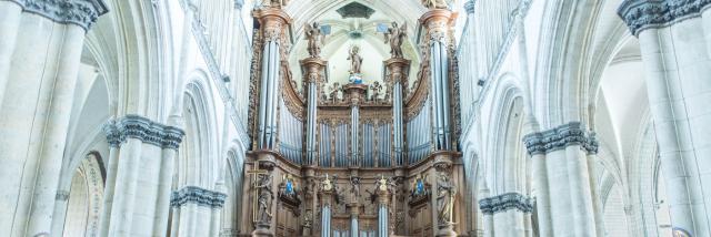 Cathédrale Notre-Dame Des Miracles - Intérieur - Saint-Omer