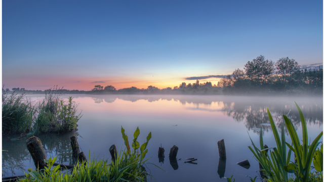 Nature and National Reserve of the Etangs du Romelaëre Sunrise Marais Audomarois