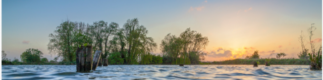 Réserve Naturelle et Nationale des Etangs du Romelaëre Coucher de Soleil Marais Audomarois