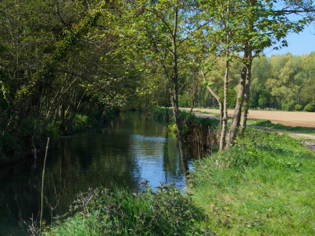 La Petite Lys Le Bruveau Hiking in Aire-sur-la-Lys (2)