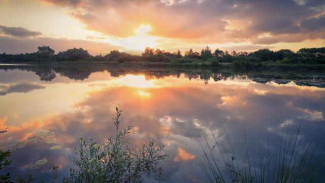 Réserve nationale et naturelle des étangs du Romelaëre Clairmarais