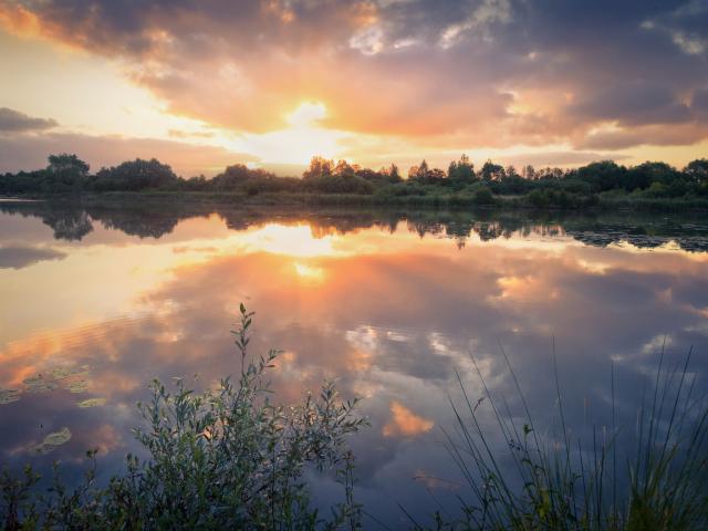 National- und Naturreservat der Teiche von Romelaëre Clairmarais