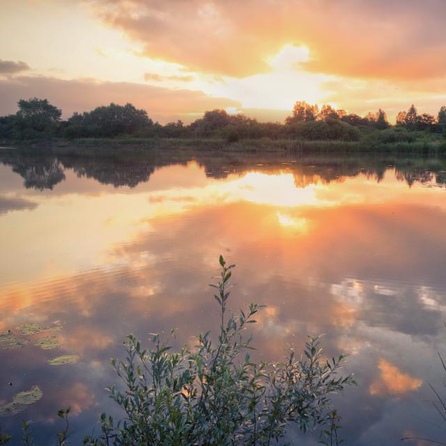 Réserve nationale et naturelle des étangs du Romelaëre Clairmarais