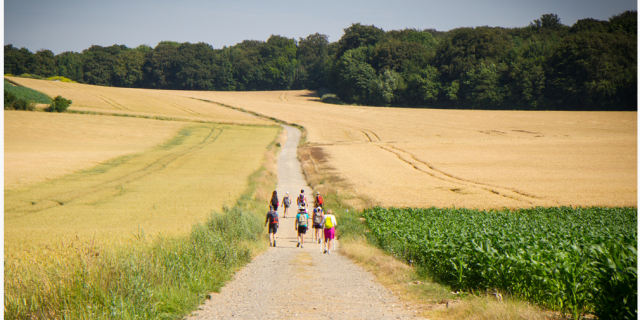 Randonnée Chemin Champs Bivouac Eden 62