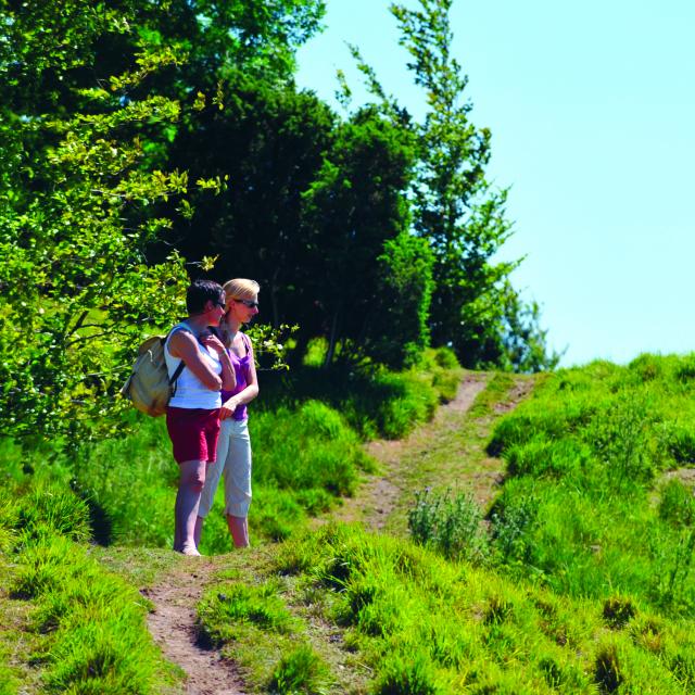 Wandelpaar Coteaux de L'Aa 2010 Wavrans sur l'Aa (4)