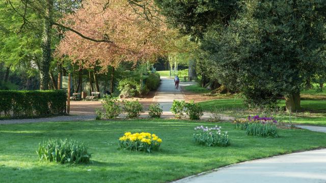 Jardin Public Saint-Omer