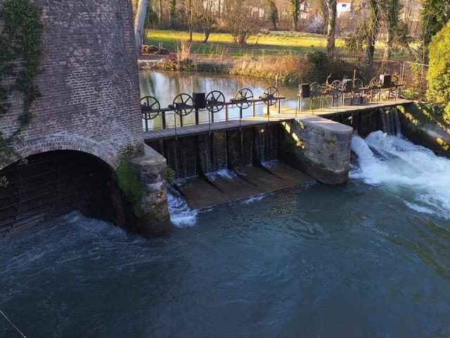 Moulin Pidoux 2022 Hallines