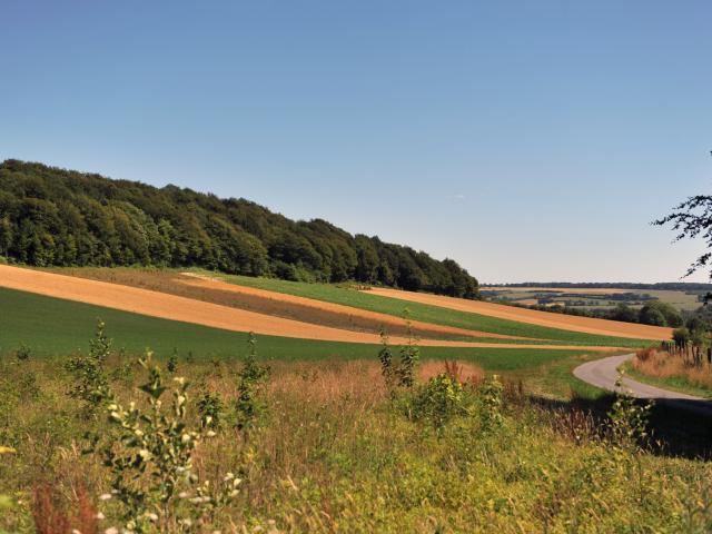 Côteaux de Bléquin Sentier VTT