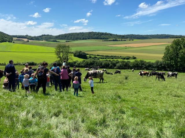 Rando Vaches Ferme du Mont Vert Alquines