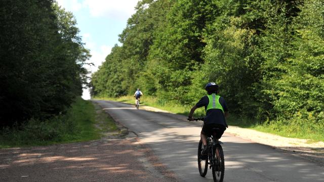 Wald von Rihoult Clairmarais Radfahren Mountainbike