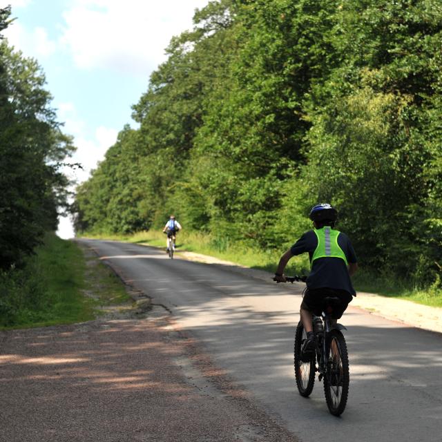 Forêt de Rihoult Clairmarais Vélo VTT