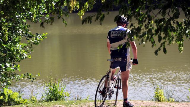 Forêt de Rihoult Vélo Clairmarais