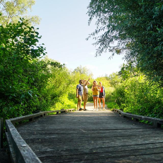 Les Ballastières Gruppe Wandern Aire-sur-la-Lys Natur