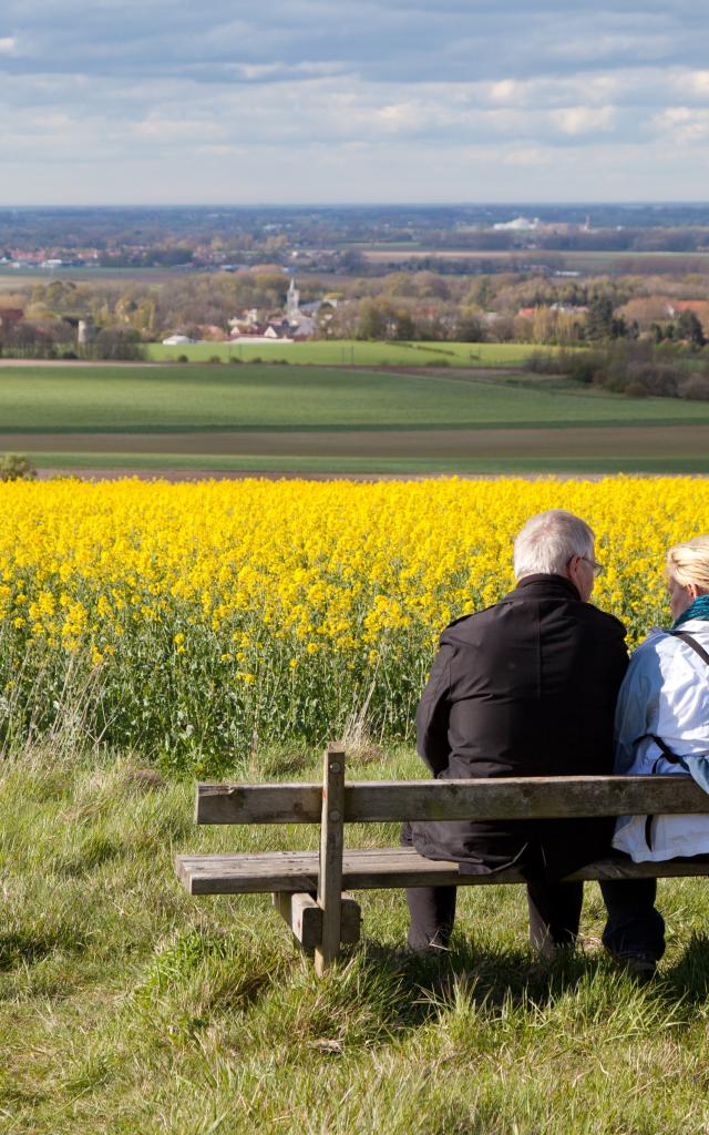 Tournehem-sur-la-Hem. Landschaften mit Rapsfeld.