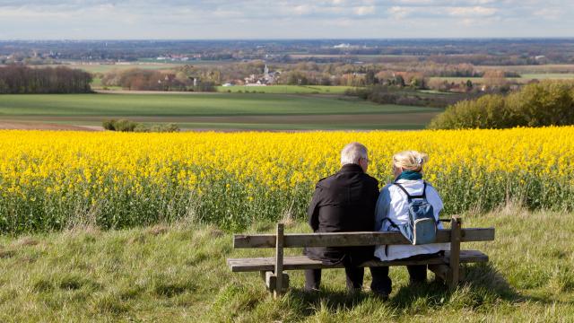 Tournehem-sur-la-Hem. Paysages avec champ de colza.