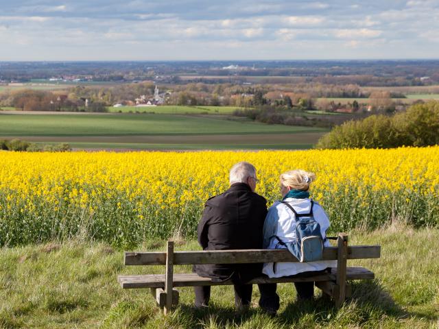 Tournehem-sur-la-Hem. Paysages avec champ de colza.