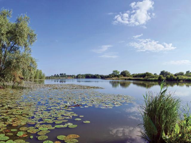 Romelaëre Ponds Reserve 2016 Clairmarais (2)