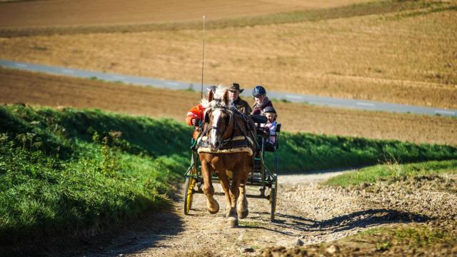 Rallye de la Saint-Georges Moulle