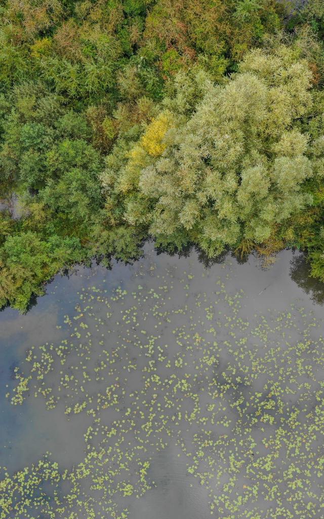 The marsh of Saint-Omer seen from the sky