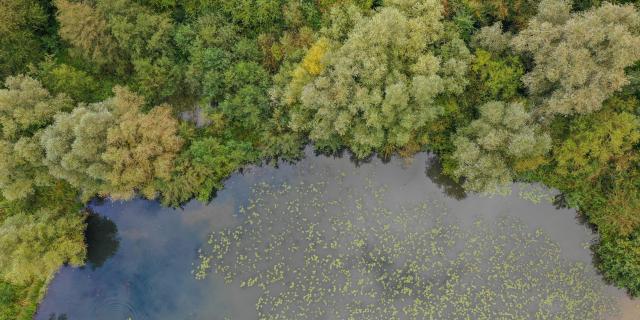 Le marais de Saint-Omer vu du ciel