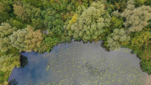 Le marais de Saint-Omer vu du ciel