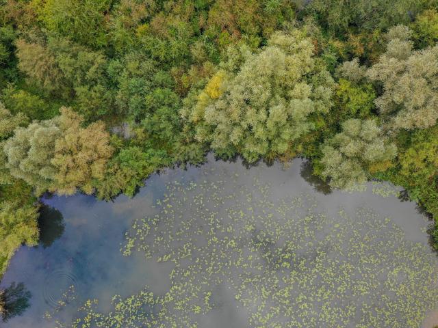 Le marais de Saint-Omer vu du ciel