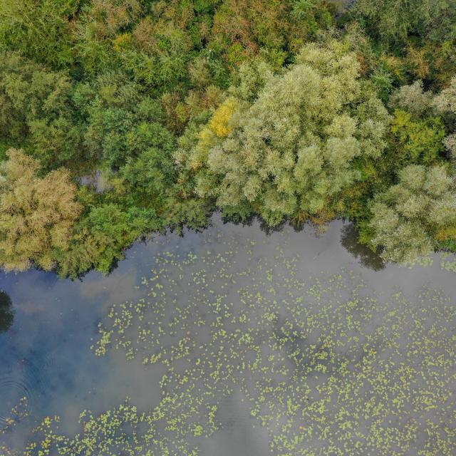 Le marais de Saint-Omer vu du ciel