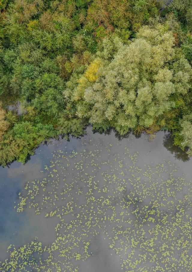 Le marais de Saint-Omer vu du ciel