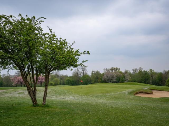 Green du Golf de l'Aa à Lumbres