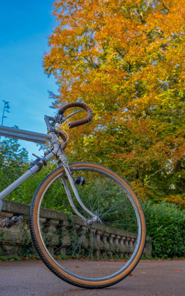 Fietsen in de openbare tuin van Saint-Omer