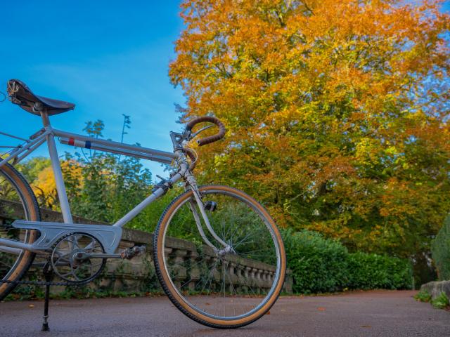 Vélo dans le jardin public de Saint-Omer