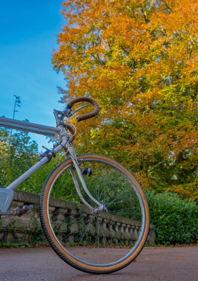 Fahrradfahren im öffentlichen Garten von Saint-Omer