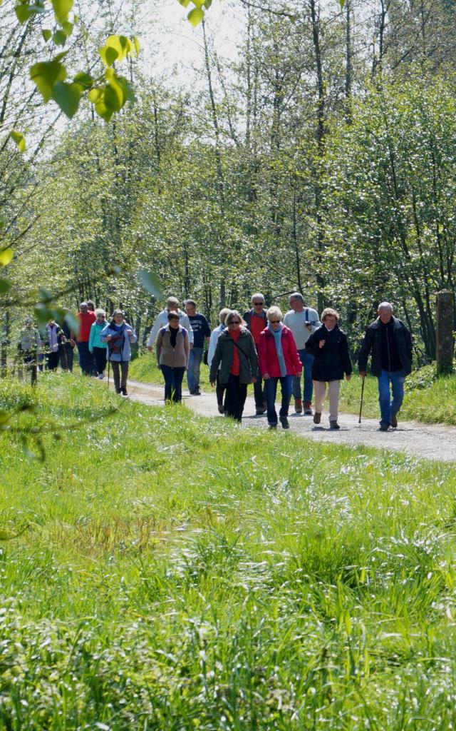 Hikers Aire Sur La Lys