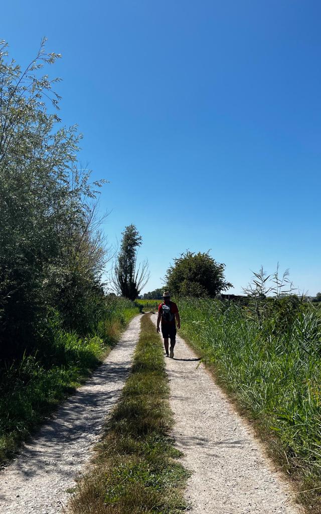 Wanderweg Du Lansbergue Marais Randonnée