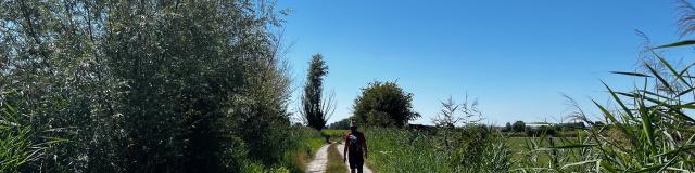 Sentier Du Lansbergue Marais Randonnée