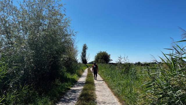 Sentier Du Lansbergue Marais Randonnée