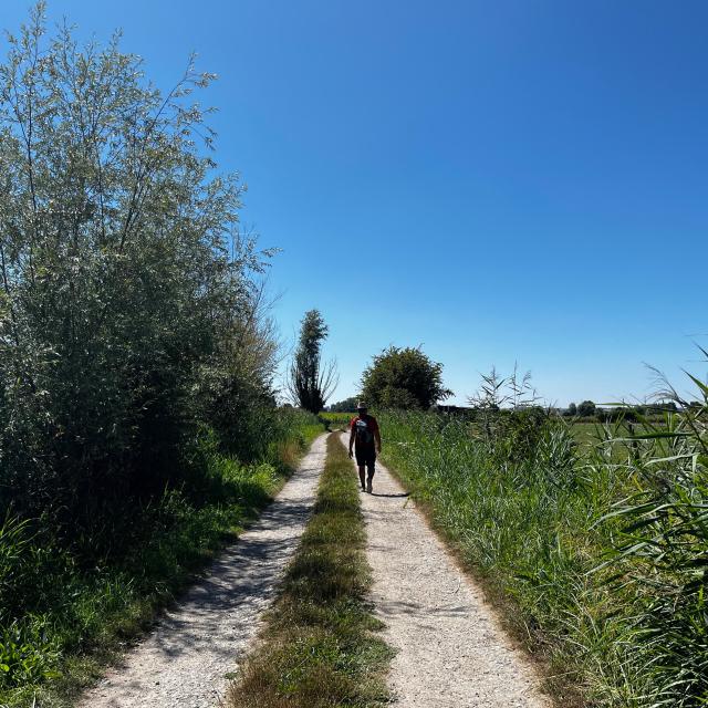 Sentier Du Lansbergue Marais Randonnée