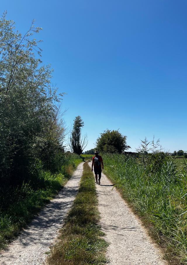 Sentier Du Lansbergue Marais Randonnée