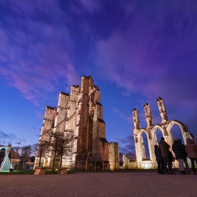 Visites merveilleuses aux Ruines de l'Abbaye Saint-Bertin