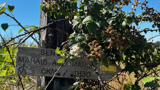 Walking tour Lansberghe