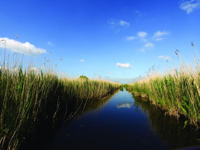 Romelaëre Marais Clairmarais