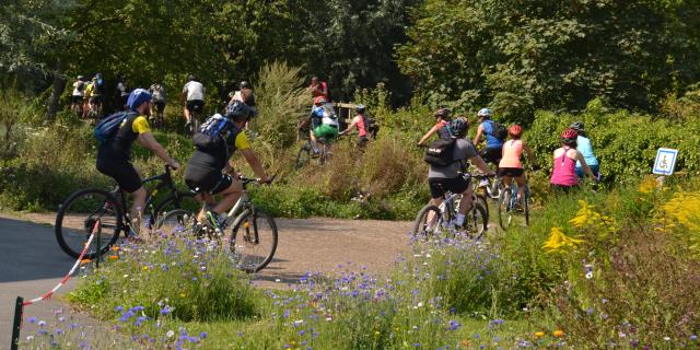 Vtt Groupe Station Trail Lumbres