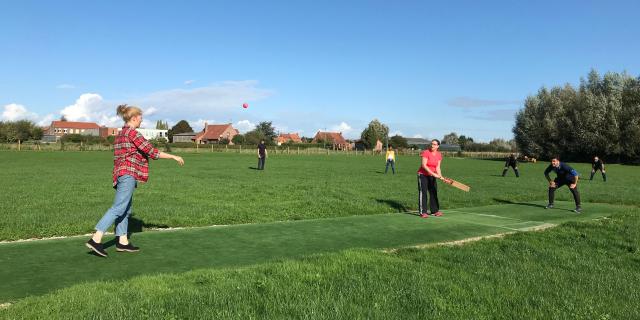 Cricket dans le Pays de Saint-Omer