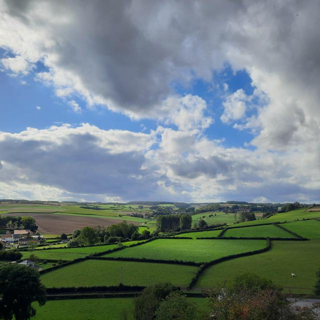 Le Paysage Rural à Acquin-Westbécourt