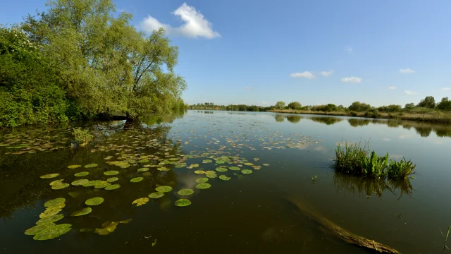 Reserve Du Romelaere 2012 Clairmarais Photo Carl Office De Tourisme De La Region De Saint Omer 5