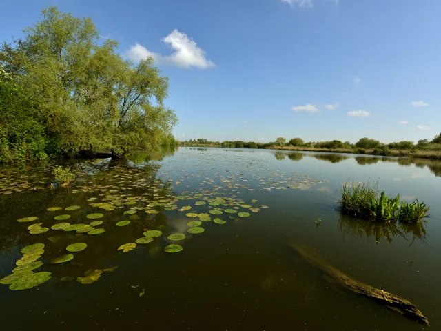 Reserve Du Romelaere 2012 Clairmarais Photo Carl Office De Tourisme De La Region De Saint Omer 5