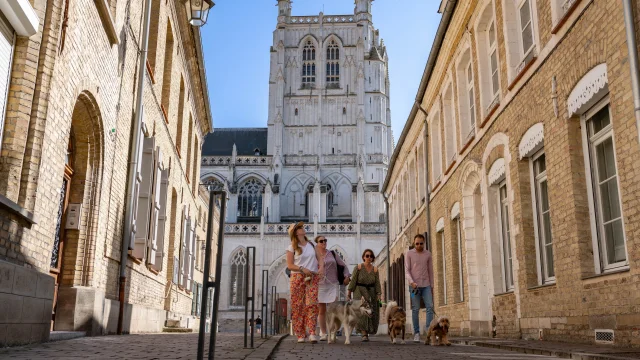 Toutourisme Centre Ville de Saint-Omer